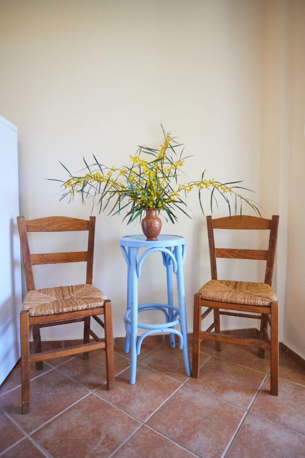 Zorbas Apartments Volissos エクステリア 写真